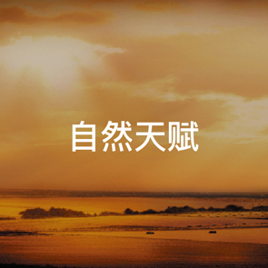 云顶集团4008(中国)官方网站